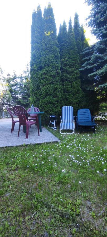 Apartamenty Z Ogrodem Nr 1 Studio Мронгово Екстер'єр фото